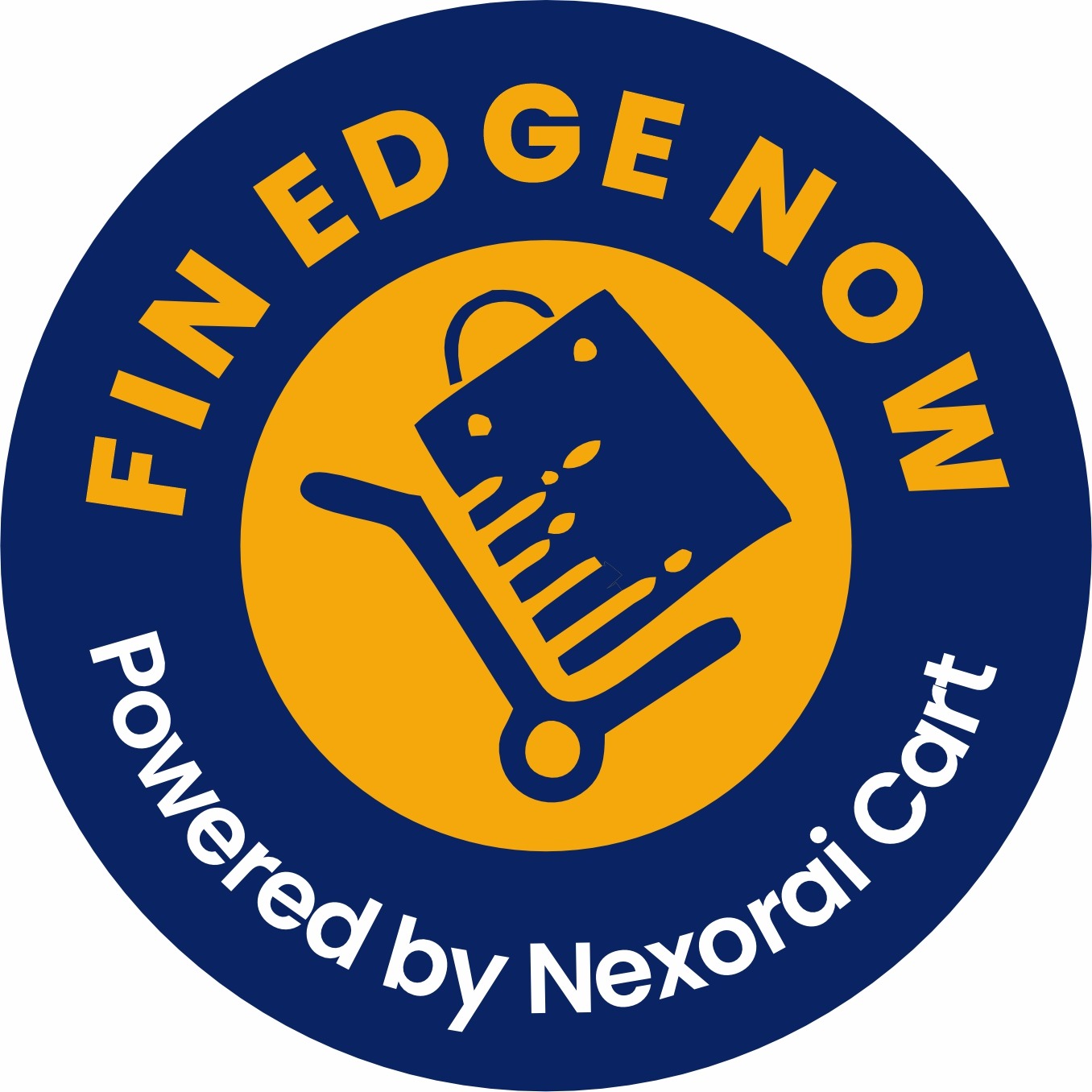 Fin Edge Now Logo
